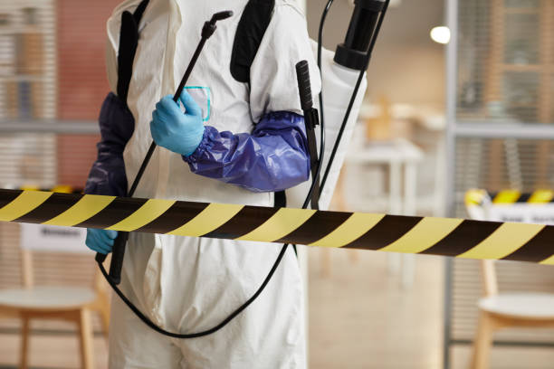 Professional Sewage Cleanup technician working in Bartlett, IL